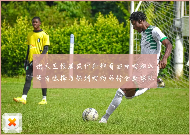 德天空报道武什科维奇拒绝续租汉堡将选择与热刺续约或转会新球队