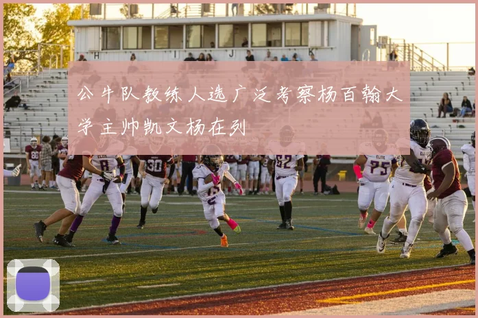 公牛队教练人选广泛考察杨百翰大学主帅凯文杨在列